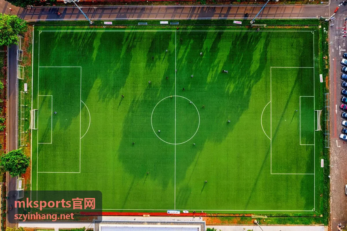 mksports官网 赛程与比分同步界面